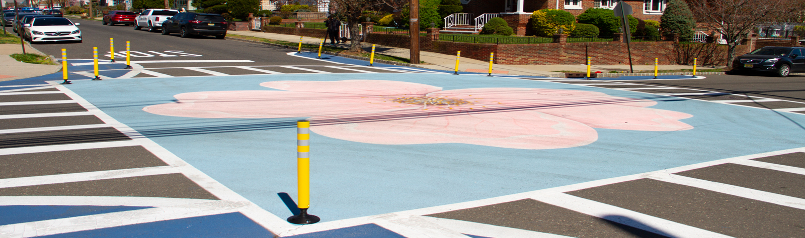Pedestrian Demo Projects
